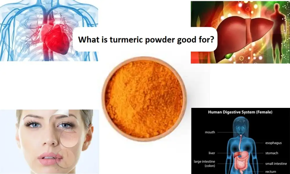 What is turmeric powder good for?